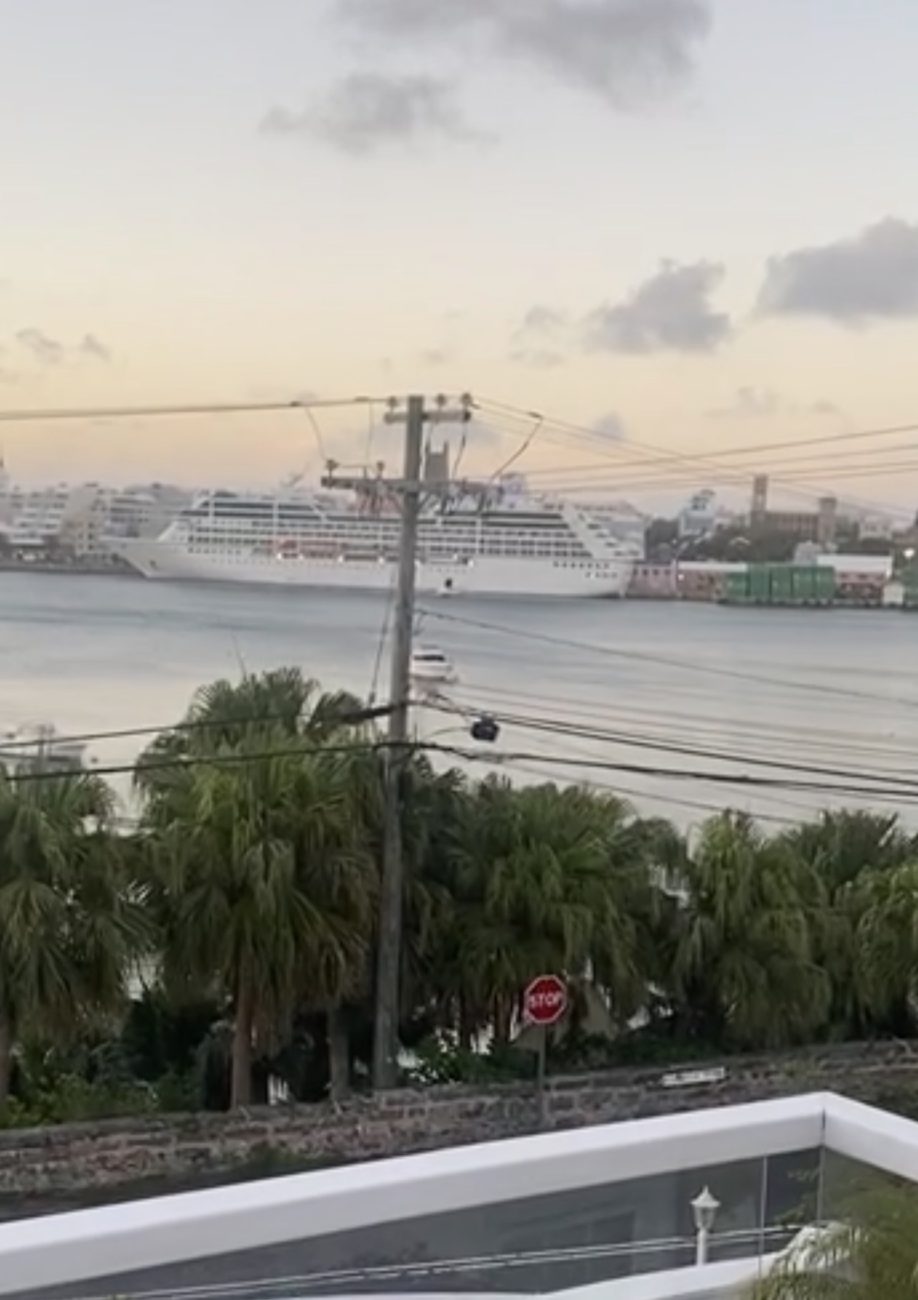 Cruise ship docked in Hamilton at dusk, seen over the palms